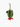 Anya Hindmarch Cactus Charm