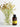 Apivita Frequent Use Gentle Daily Shampoo | B