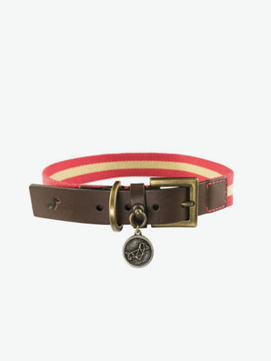 Poldo Dog Couture Portofino Dog Collar | A
