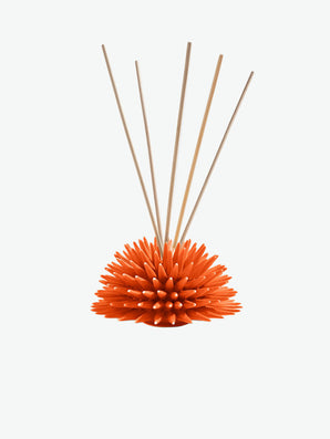 Ricciocaprese New Fragrance Scent Diffuser Orange Tea